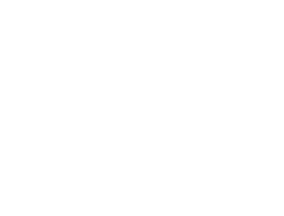 Partners-Acer