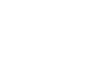 Partners-Asus