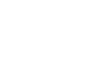 Partners-Avision