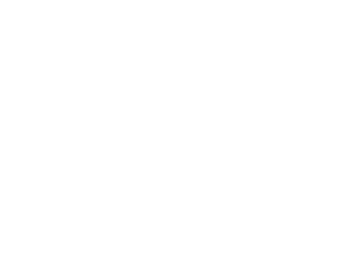 Partners-Dell