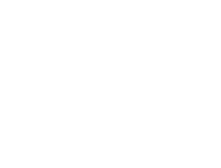 Partners-Epson