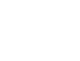 Partners-Huawei