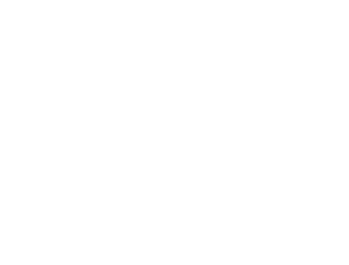 Partners-LG