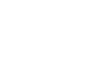 Partners-Lenovo