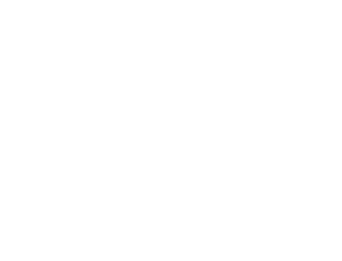 Partners-MSI