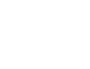 Partners-Maltego