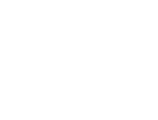Partners-RuggedSA