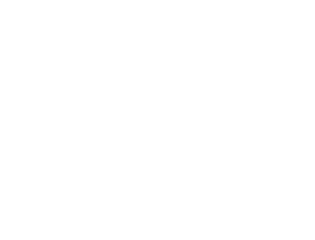 Partners-Sony