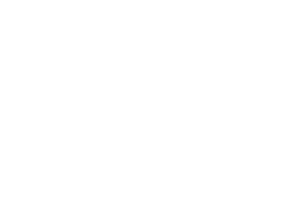 Partners-Toshiba