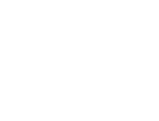 Partners-Zebra
